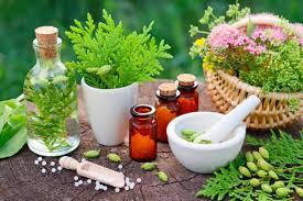 Holistic Healing with Homeopathy: Treating the Whole Person